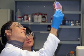 Engineering Chemistry Materials