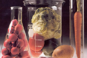 Food Chemistry Materials